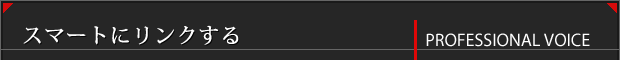 Professional Voice - スマートにリンクする