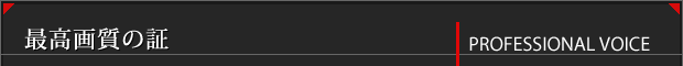 Professional Voice - 最高画質の証