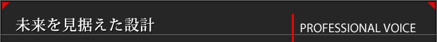 Professional Voice - 未来を見据えた設計