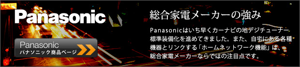 Panasonic